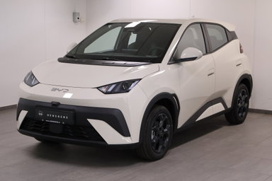 BYD DOLPHIN SURF
