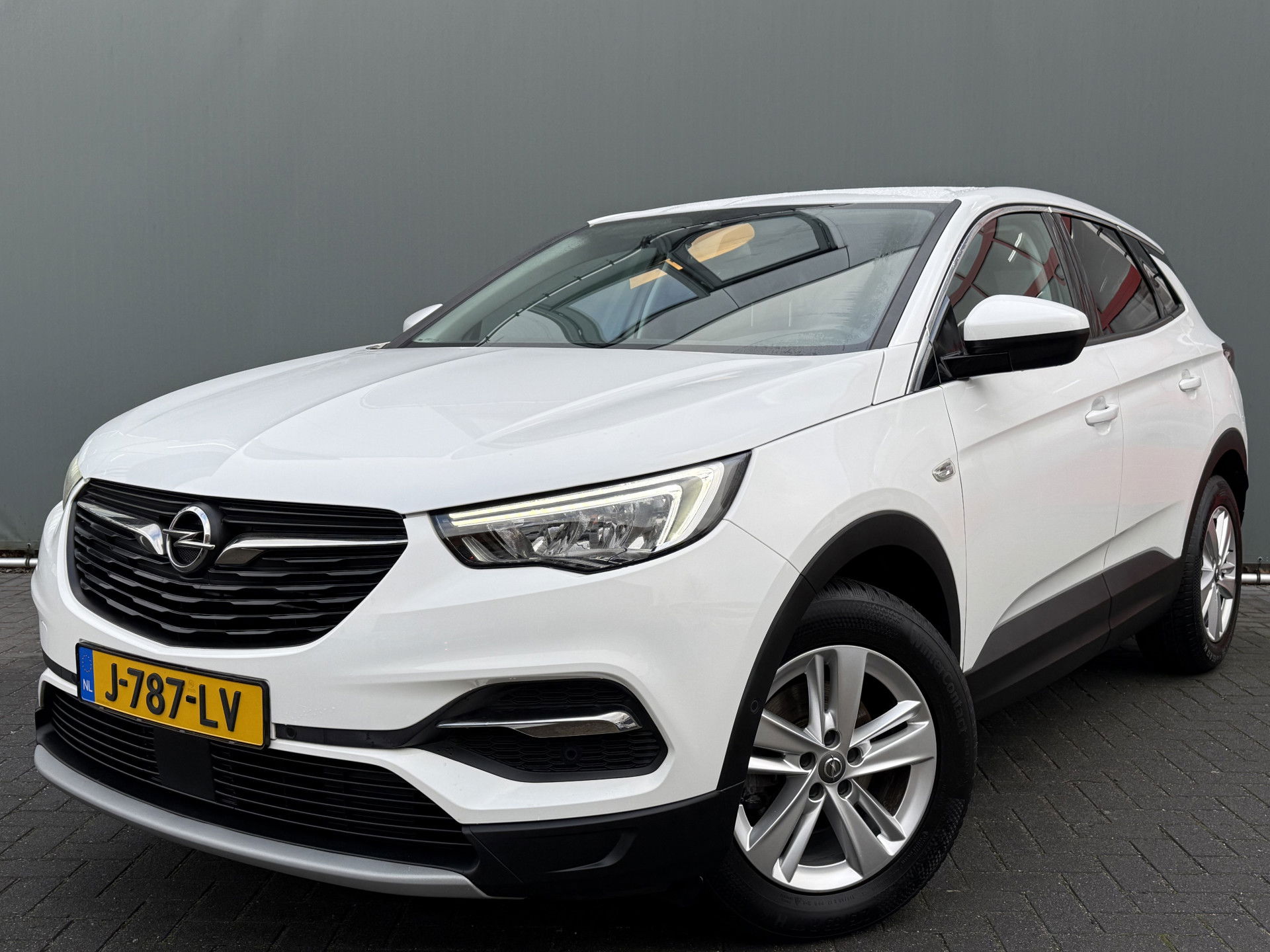 Foto van Opel Grandland X