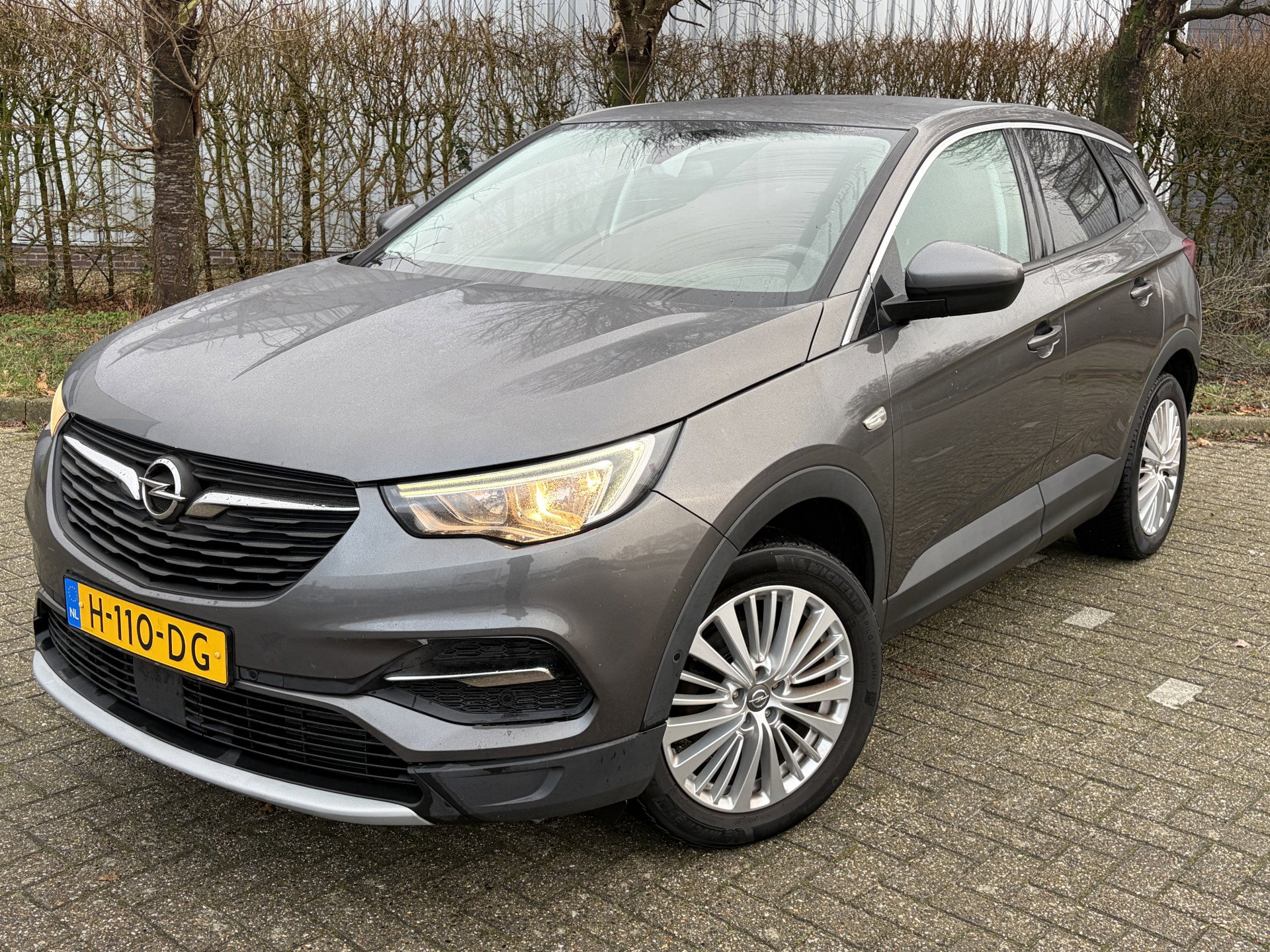 Foto van Opel Grandland X