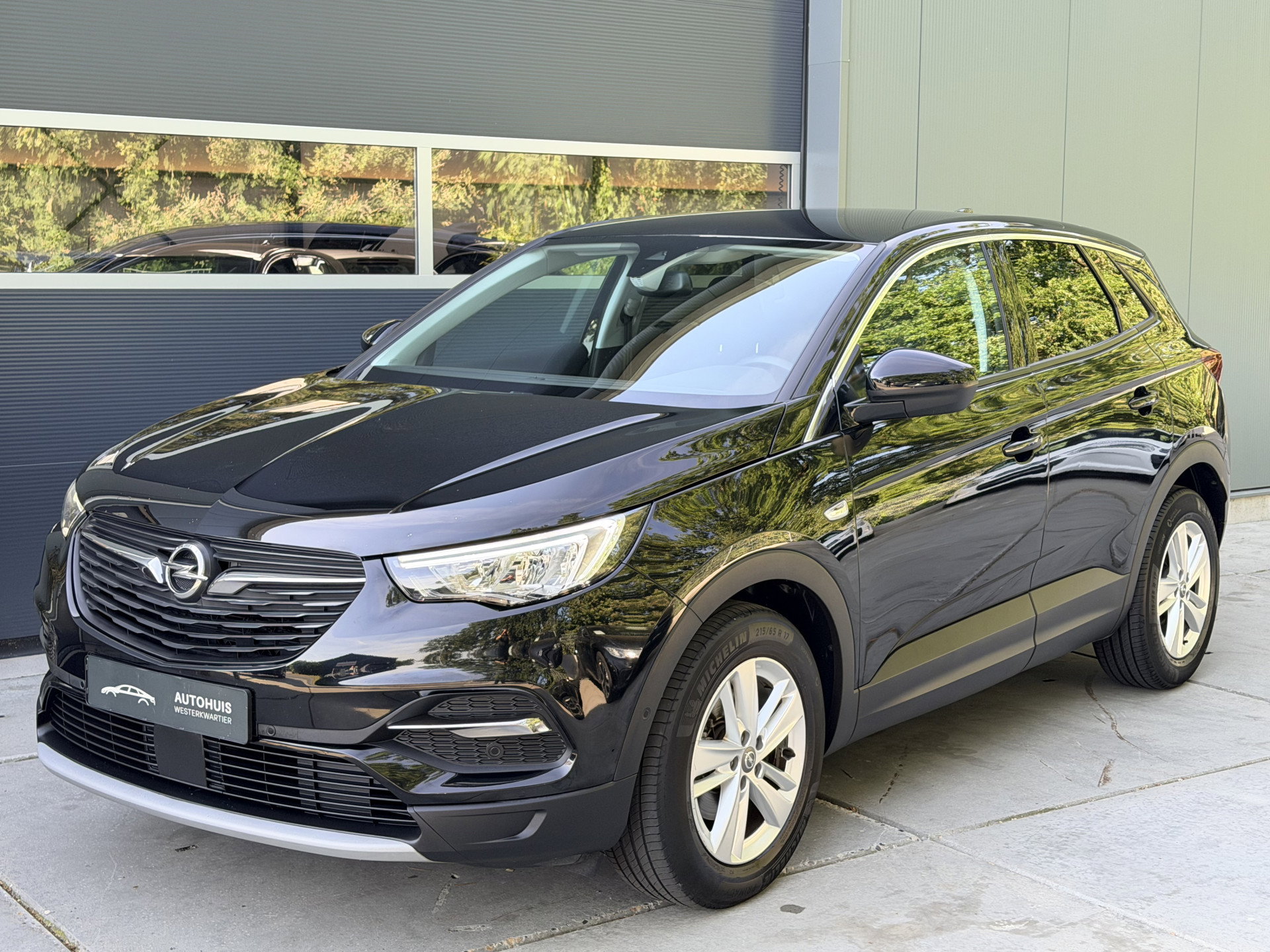 Foto van Opel Grandland X