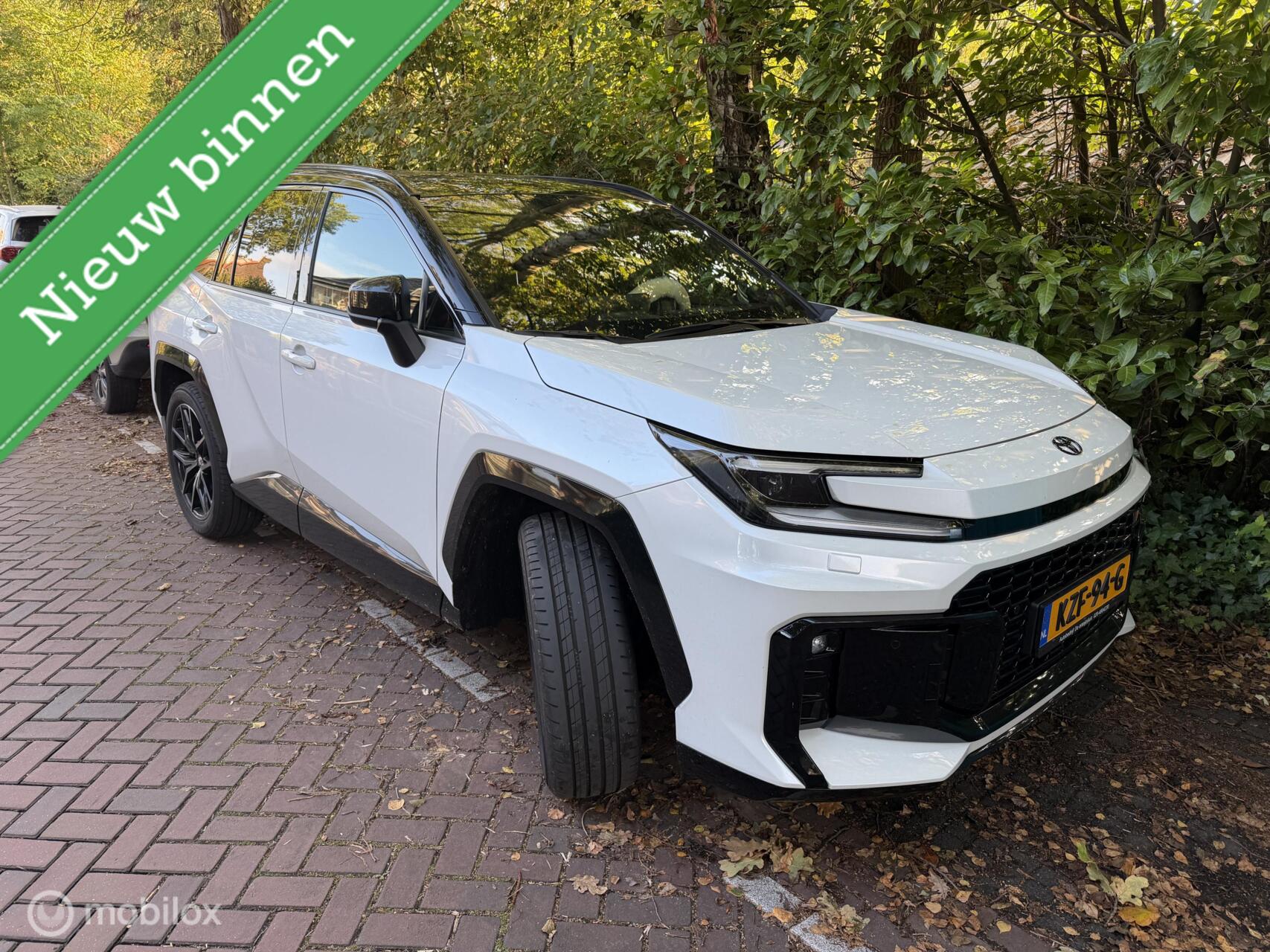 Foto van Toyota RAV4