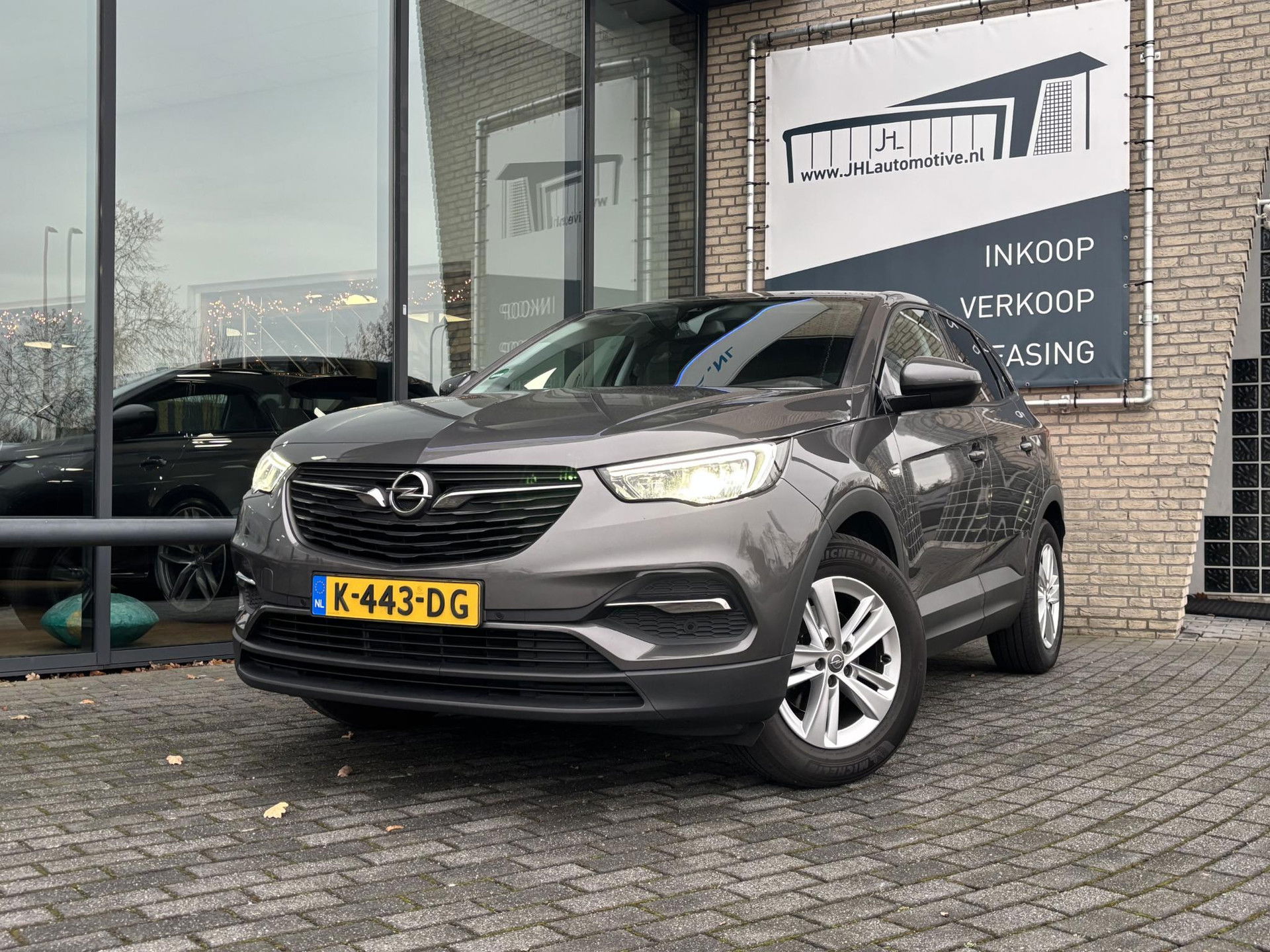 Foto van Opel Grandland X