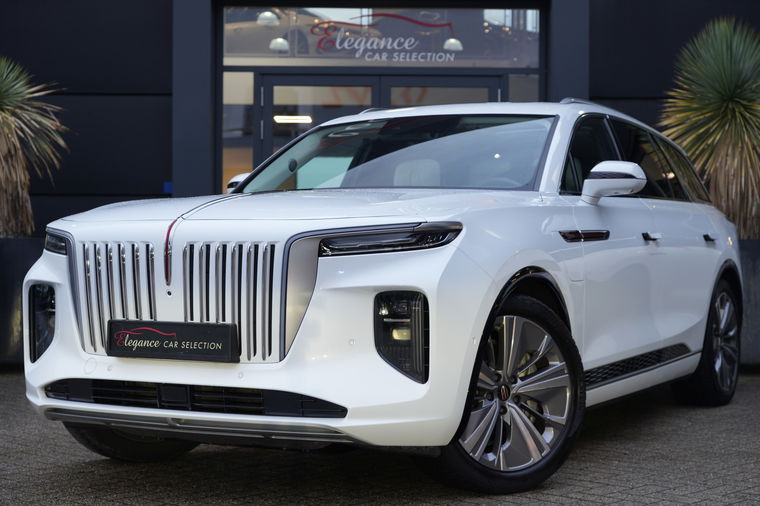 Foto van Hongqi E-HS9