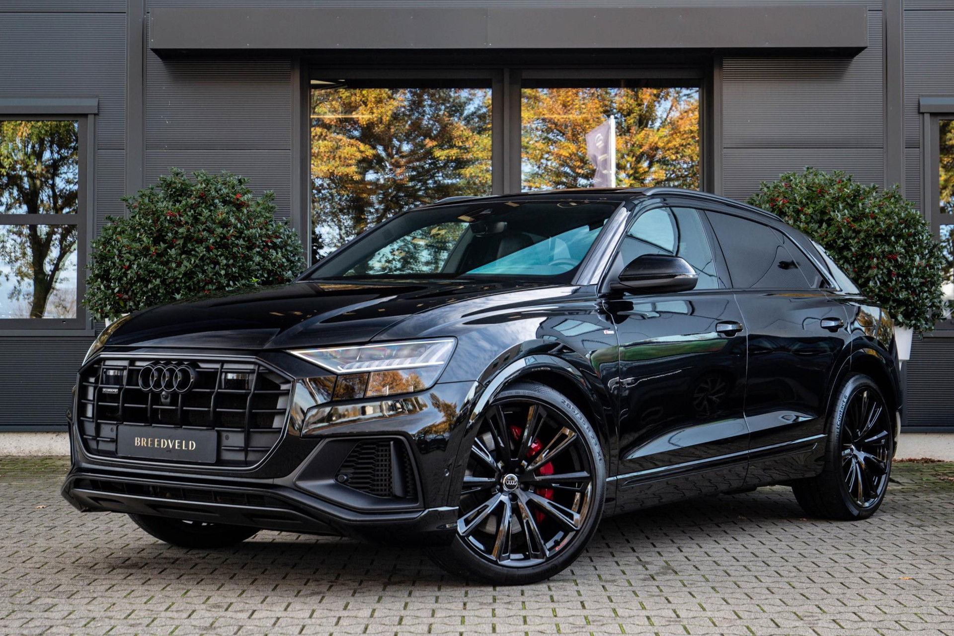 Foto van Audi Q8