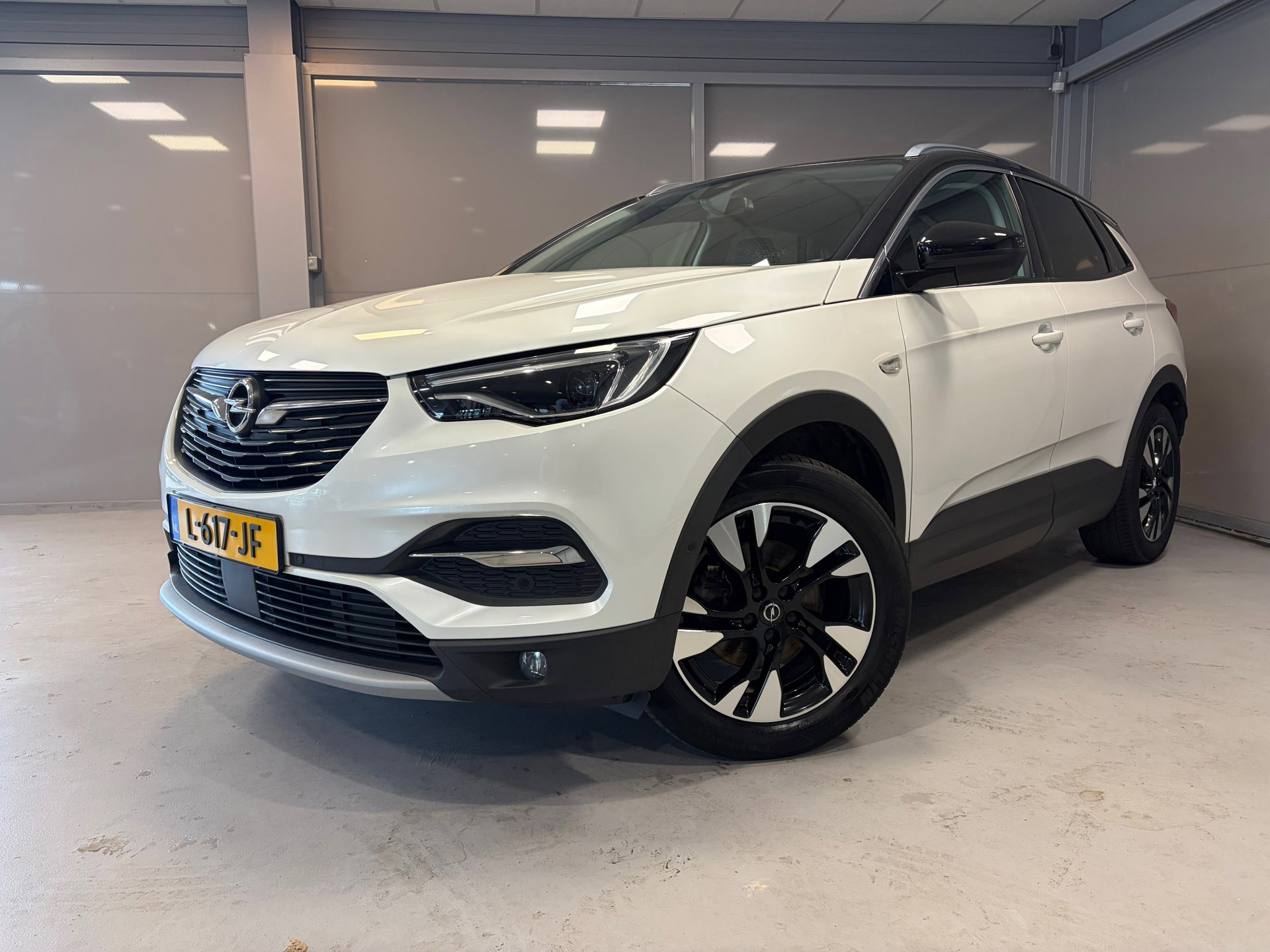 Foto van Opel Grandland X